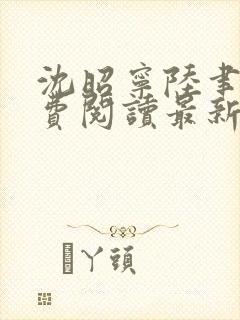 沈昭宁陆聿珩免费阅读最新章节更新