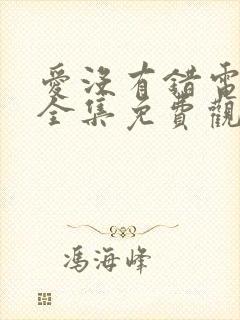爱没有错电视剧全集免费观看