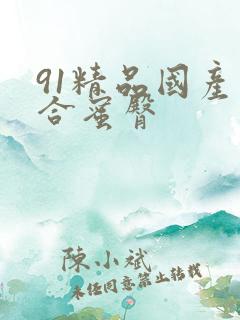 91精品国产综合蜜臀