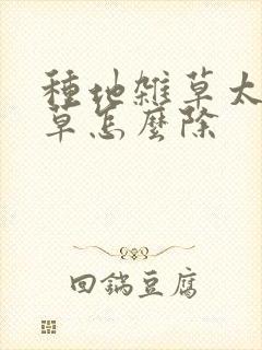 种地杂草太多除草怎么除
