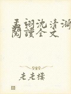 孟翊沈清漪免费阅读全文