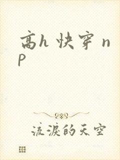 高h 快穿 np