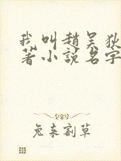 我叫赵吴狄的原著小说名字