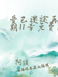 爱已迷途再无归期11章免费阅读