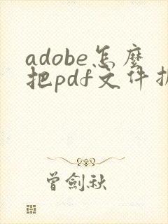 adobe怎么把pdf文件拆分成几个小文件