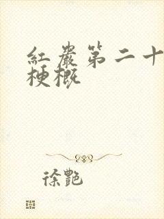 红岩第二十七章梗概