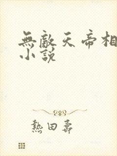 无敌天帝相似的小说