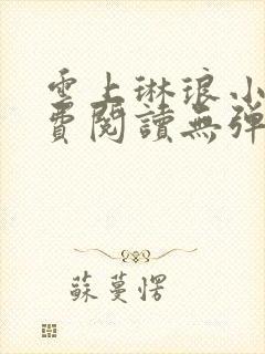 云上琳琅小说免费阅读无弹窗