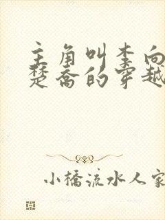 主角叫李向南林楚乔的穿越小说