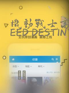 机动战士高达SEED DESTINY ASTRAY：结局+番外