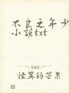 不良之年少轻狂小说txt