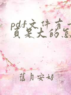 pdf文件有一页是大的怎么办