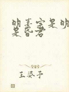 明熹宗是明君还是昏君