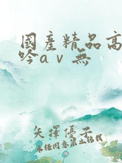 国产精品高潮呻吟aⅴ无