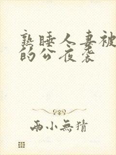 熟睡人妻被讨厌的公夜袭