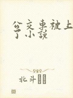 公交车被上高潮了小说