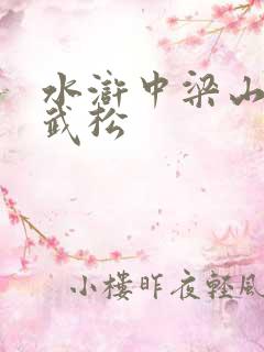 水浒中梁山好汉武松