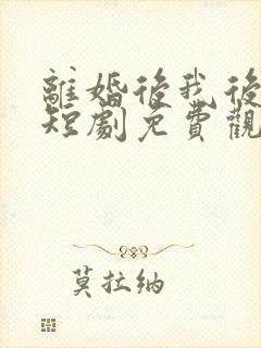 离婚后我后悔了短剧免费观看