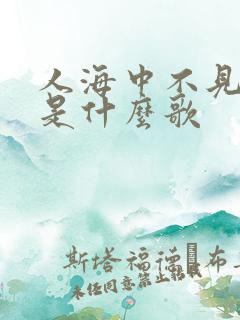 人海中不见了你是什么歌