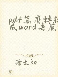 pdf怎么转换成word去底纹