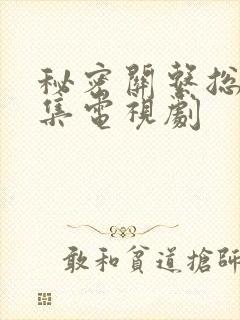 秘密关系总共几集电视剧