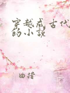 穿越成古代王爷的小说