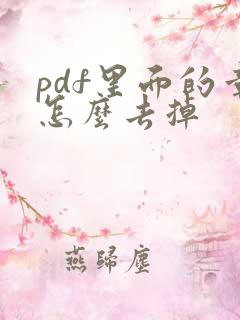 pdf里面的章怎么去掉
