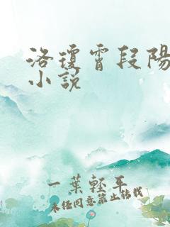 洛琼霄段阳澍的小说