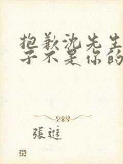 抱歉沈先生,孩子不是你的短剧全集免费