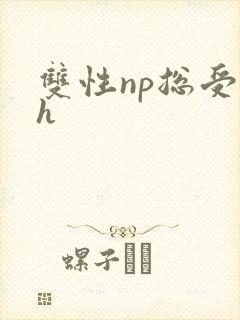 双性np总受高h