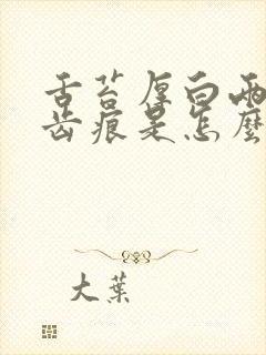 舌苔厚白两侧有齿痕是怎么回事
