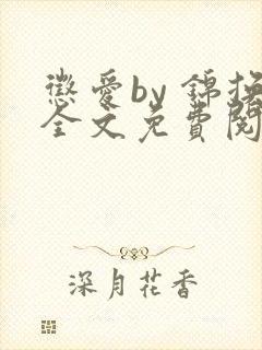 惩爱by 锦换全文免费阅读笔趣阁