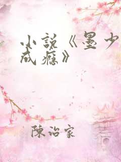 小说《墨少宠妻成瘾》