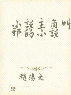 小说主角叫柳无邪的小说