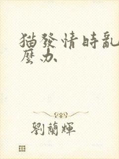 猫发情时乱尿怎么办