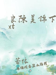 良陈美锦下载txt