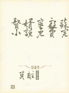 赘婿宁毅苏檀儿小说免费完整在线阅读