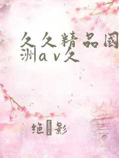 久久精品国产亚洲a v久