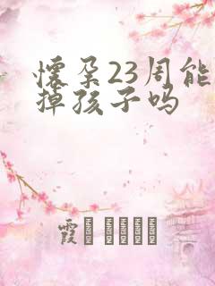 怀孕23周能打掉孩子吗