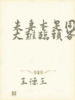 夫妻本是同林鸟大难临头各自飞下一句