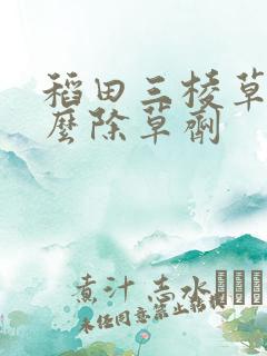 稻田三棱草用什么除草剂