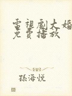 电视剧大婚当日免费播放