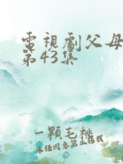 电视剧父母爱情第43集