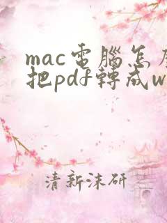 mac电脑怎么把pdf转成word