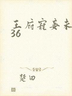 王府宠妾未删减36