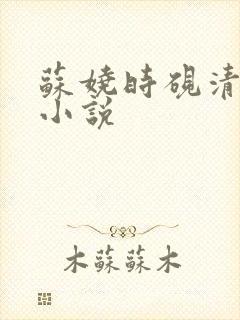 苏娆时砚清全文小说
