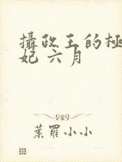 摄政王的极品医妃 六月