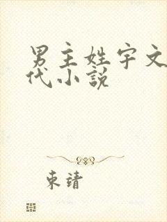 男主姓宇文的现代小说