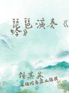 琵琶演奏《葬花吟》