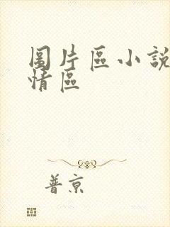 图片区小说区激情区